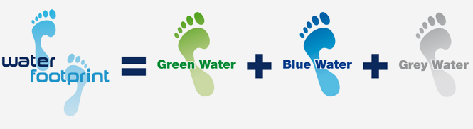 Water Foot Print